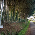 P1250764